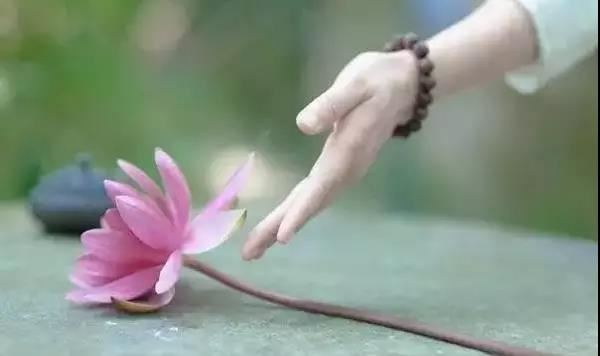 孙伦大师的教导