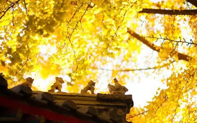 宣隆大师的生平故事