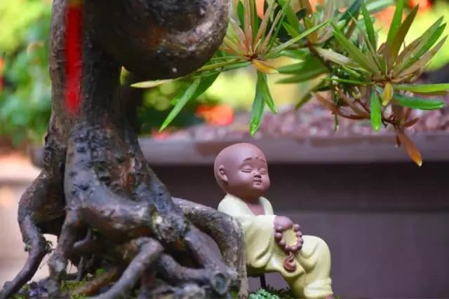 《阿姜放: 觉知之心》摘录