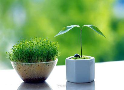 《夕阳问答》夕阳讲解 037 禅修次第·充分释放肉体的骚动·灵魂成长的次第 的关键点