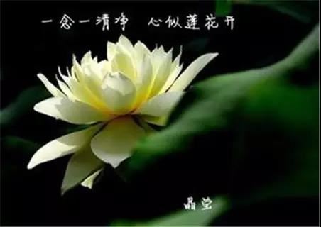 《夕阳问答》夕阳讲解 018 人类的起源•纵深的超越•净化的必要•瑜伽的危险