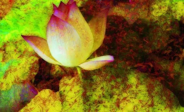 莲花生大士：观想除病法