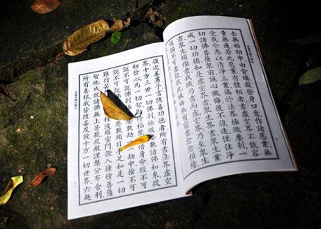 金刚寿命真言
