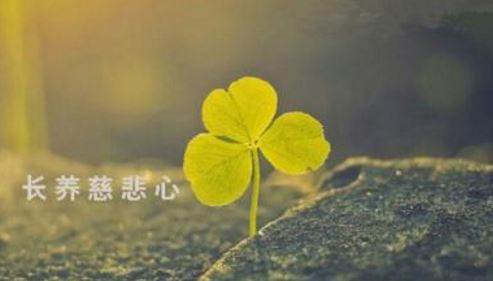 普贤行愿品回向文