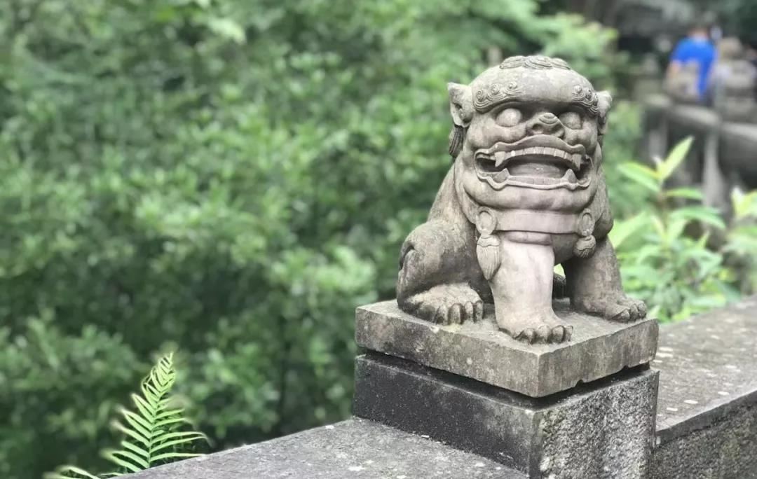 甩腿功  治愈膝关节