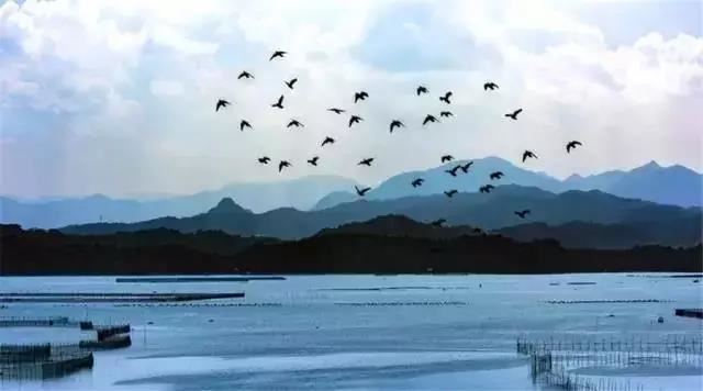 凝视双眼