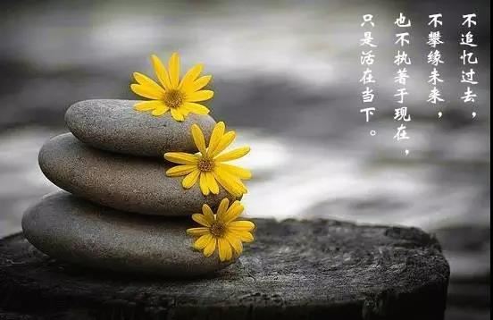 阴阳合一的超越