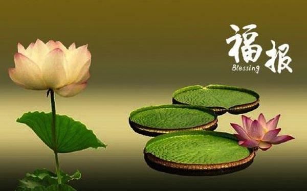 不能把空性想成是虚空的，空性的本性是“明”
