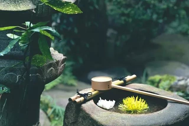 一位开悟的尼师