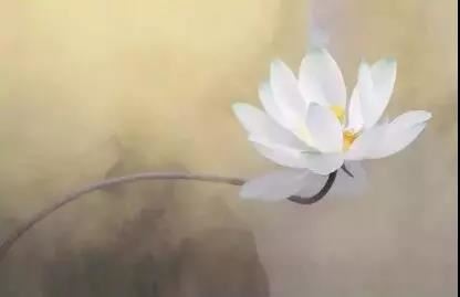 祈竹仁波切：死亡过程与净土修行
