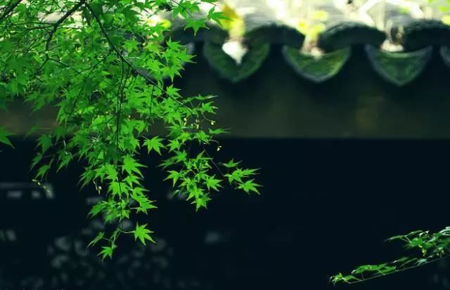 伏藏大师秋吉林巴尊者简传