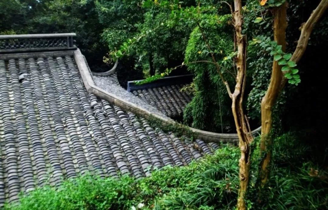顶果仁波切：睡前的上师相应法