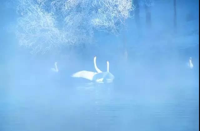 多智钦日洛仁波切大圆满教言