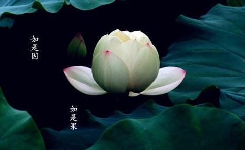 麦彭仁波切：智慧的本体-如何保任本觉的本面