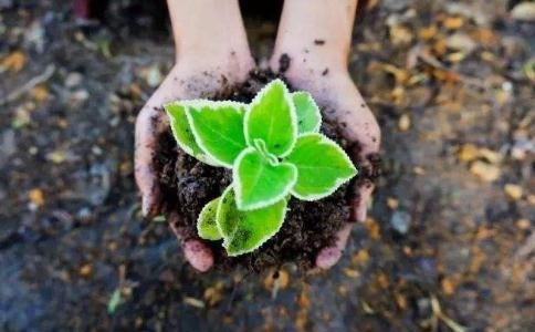 《无上瑜伽密续》