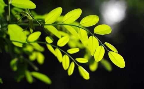 从寂静到喧闹——瑜伽士“安钦”的禅修历程／措尼仁波切