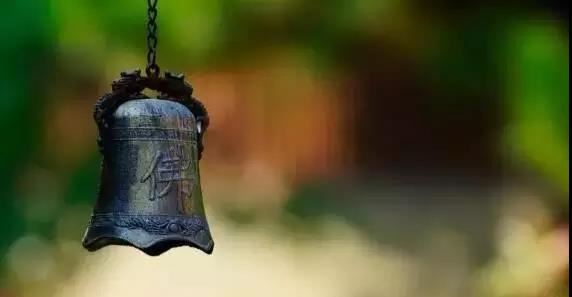 春节不杀戮生命才是真正吉祥的节日