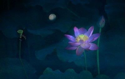 春天多吃这些新芽滋补养生功效多