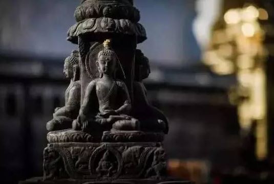 春季谨防霉变甘蔗和霉变红薯中毒