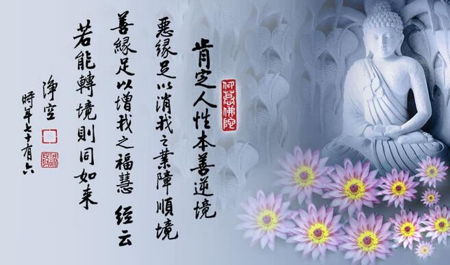 明华居士：无量光素食馆里正在发生的神奇故事