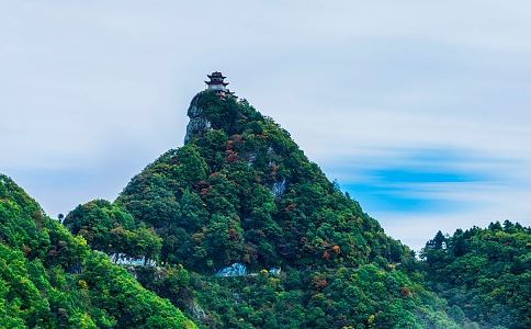 春天多吃这些素菜预防各种疾病